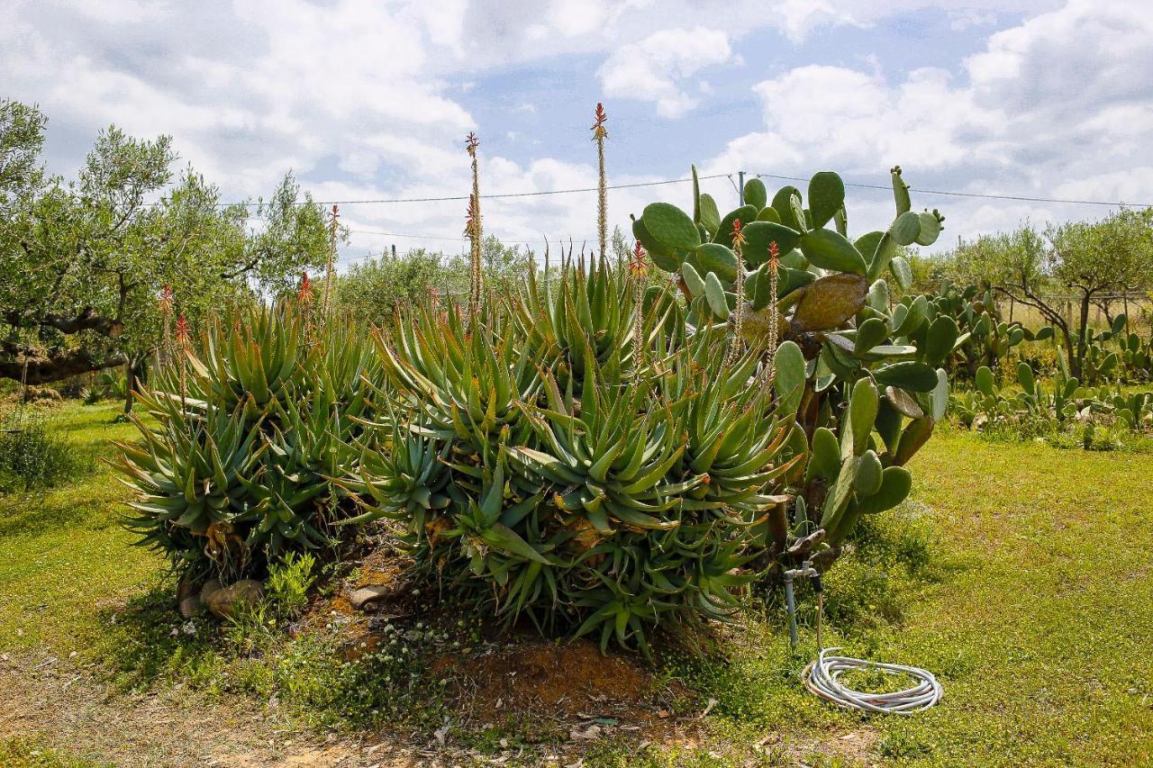 Nomade - Slow Living Lodge Balestrate Bagian luar foto