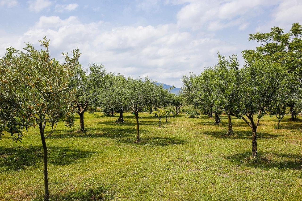 Nomade - Slow Living Lodge Balestrate Bagian luar foto