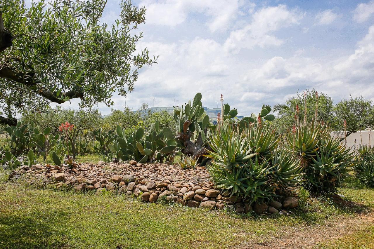 Nomade - Slow Living Lodge Balestrate Bagian luar foto